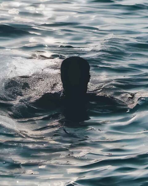 Cá mập tấn công cắn người ở biển Brazil